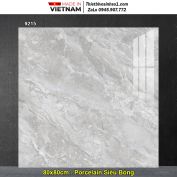 Gạch 80x80 Tasa 9215