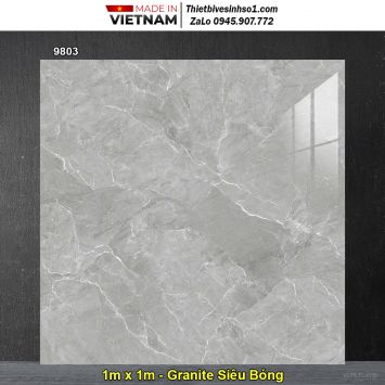 Gạch 1mx1m Tasa 9803