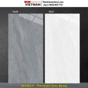 Gạch 40x80 Tasa 7629-7627