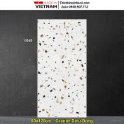 Gạch 60x120 Tasa 1648