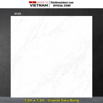 Gạch 1,2m x 1,2m Tasa 9508