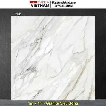 Gạch 1m x 1m Tasa 0901