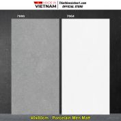 Gạch 40x80 Tasa 7666-7664