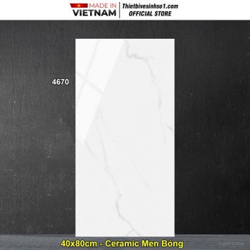 Gạch 40x80 Tasa 4670