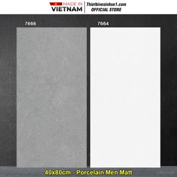 Gạch 40x80 Tasa 7666-7664