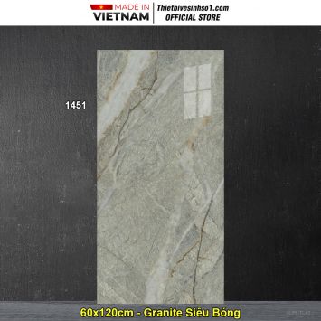 Gạch 60x120 Tasa 1451