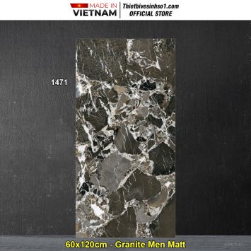 Gạch 60x120 Tasa 1471