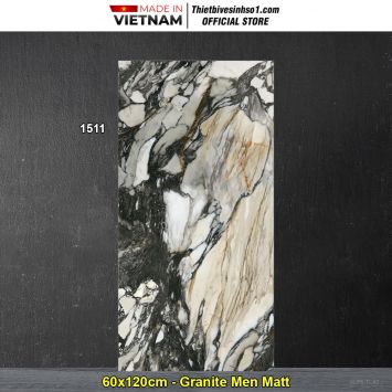 Gạch 60x120 Tasa 1511