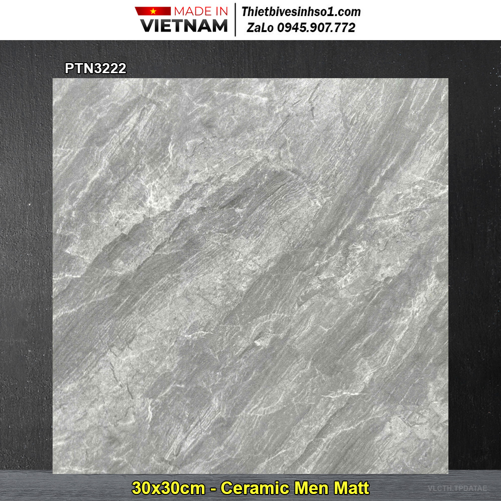 Gạch 30x30 Thanh Hà PTN3222