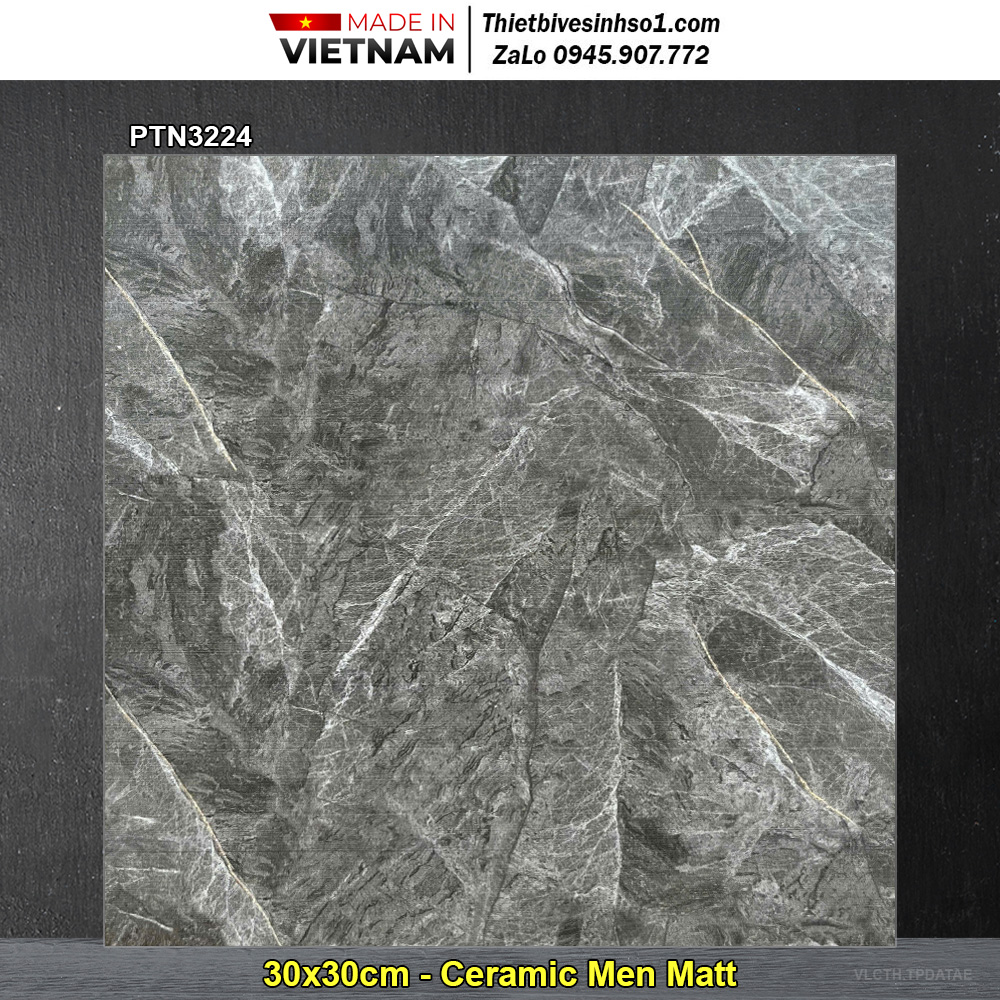 Gạch 30x30 Thanh Hà PTN3224