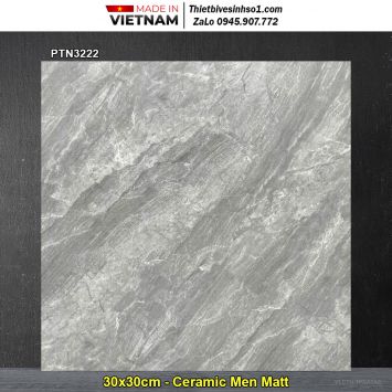 Gạch 30x30 Thanh Hà PTN3222