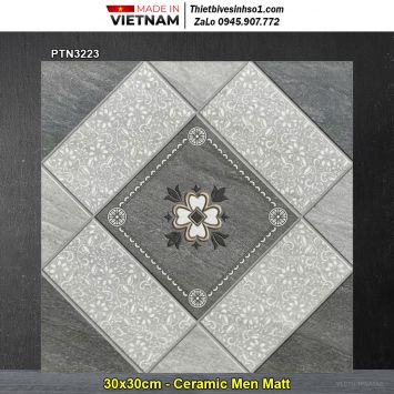 Gạch 30x30 Thanh Hà PTN3223