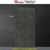 Gạch 30x60 Toko 36304 Lát Sân