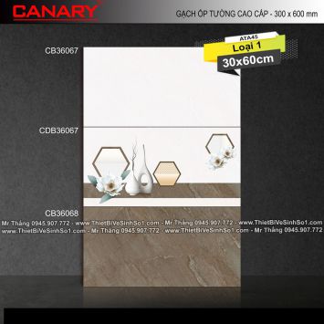 Gạch 30x60 TTC Canary CB36067-CB36068