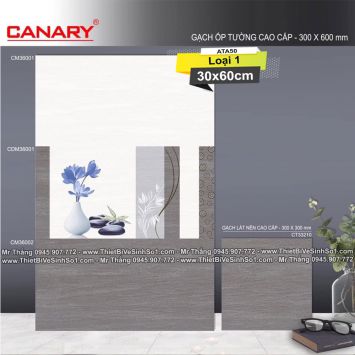 Gạch 30x60 TTC Canary CM36001-CM36002
