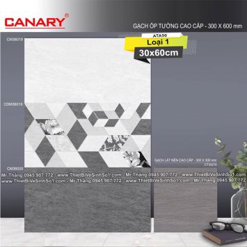 Gạch 30x60 TTC Canary CM36019-CM36020