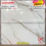 Gạch 60x60 Canary CN66044