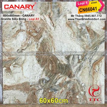 Gạch 60x60 Canary CN66041