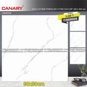 Gạch 80x80 TTC Canary CN88008