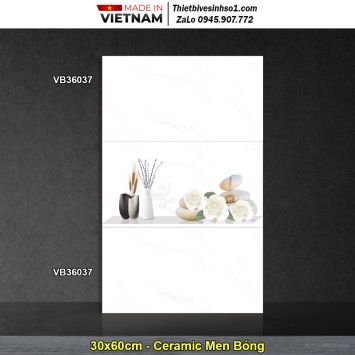 Gạch 30x60 TTC VB36037