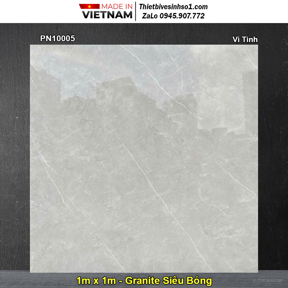 Gạch 1m x 1m TTC PN10005 Vân Xám Ghi