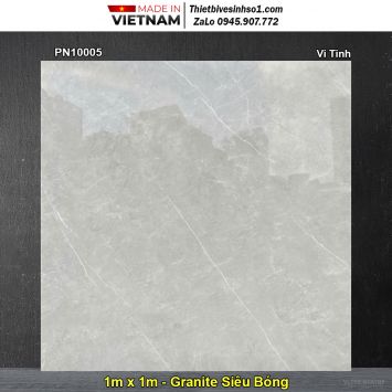 Gạch 1m x 1m TTC PN10005 Vân Xám Ghi