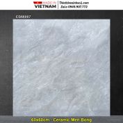 Gạch 60x60 TTC EB66007 Đá Ghi Xám