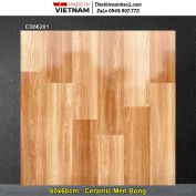 Gạch 60x60 TTC EB66201 Vân Gỗ