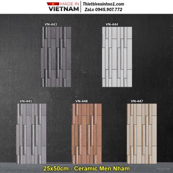 Gạch Ốp Trang Trí 25x50 Việt Nhật VN-44