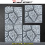 Gạch Terrazzo Mắt Na Ghi