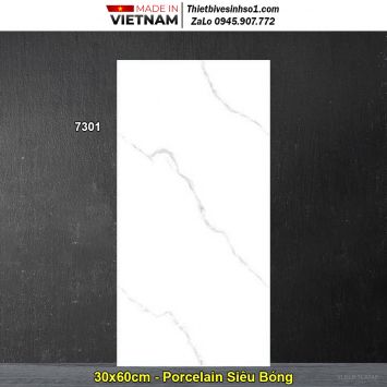 Gạch 30x60 Blue Dragon 7301