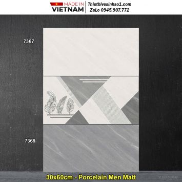 Gạch 30x60 Blue Dragon 7369-7367