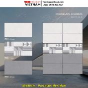 Gạch 40x80 Blue Dragon 7866-7864