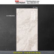 Gạch 60x120 Classico C61MS804 Vân Đá