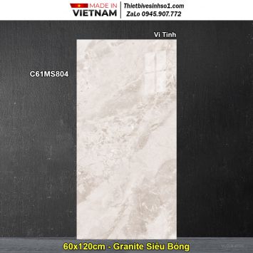 Gạch 60x120 Classico C61MS804 Vân Đá