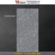 Gạch Ốp Trang Trí 10x20 Đồng Tâm 1020ROCK007