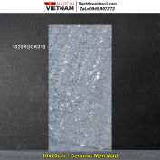 Gạch Ốp Trang Trí 10x20 Đồng Tâm 1020ROCK010