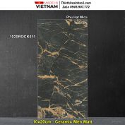 Gạch Ốp Trang Trí 10x20 Đồng Tâm 1020ROCK011