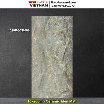 Gạch Ốp Trang Trí 10x20 Đồng Tâm 1020ROCK006