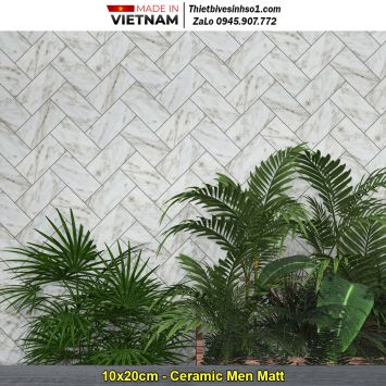 Gạch Ốp Trang Trí 10x20 Đồng Tâm 1020ROCK015