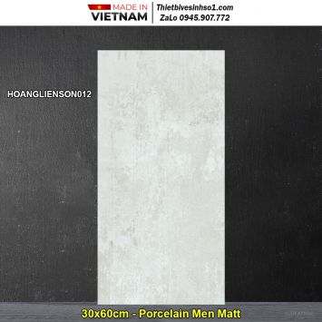 Gạch 30x60 Đồng Tâm 3060HOANGLIENSON012