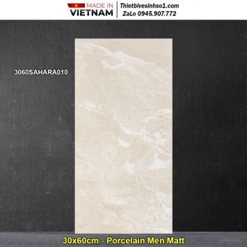 Gạch 30x60 Đồng Tâm 3060SAHARA010