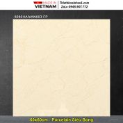 Gạch 60x60 Đồng Tâm 6060HAIVAN003-FP