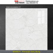 Gạch 60x60 Đồng Tâm 6060HAIVAN004-FP