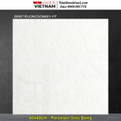 Gạch 60x60 Đồng Tâm 6060TRUONGSON001-FP