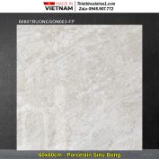 Gạch 60x60 Đồng Tâm 6060TRUONGSON003-FP