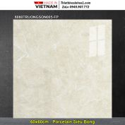 Gạch 60x60 Đồng Tâm 6060TRUONGSON005-FP