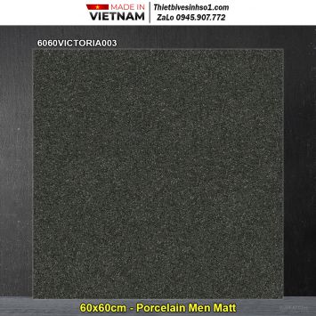 Gạch 60x60 Đồng Tâm 6060VICTORIA003