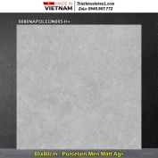 Gạch 80x80 Đồng Tâm 8080NAPOLEON005-H+