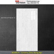 Gạch 40x80 Đồng Tâm 4080TRAVERTINE001-H+